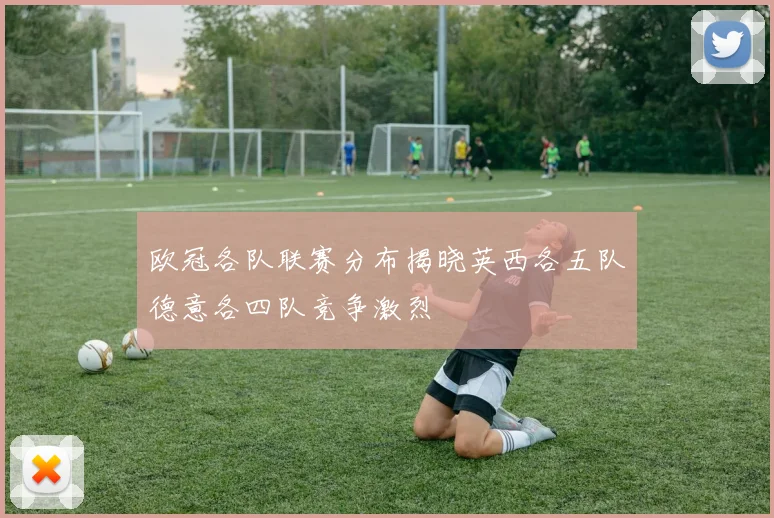 欧冠各队联赛分布揭晓英西各五队德意各四队竞争激烈