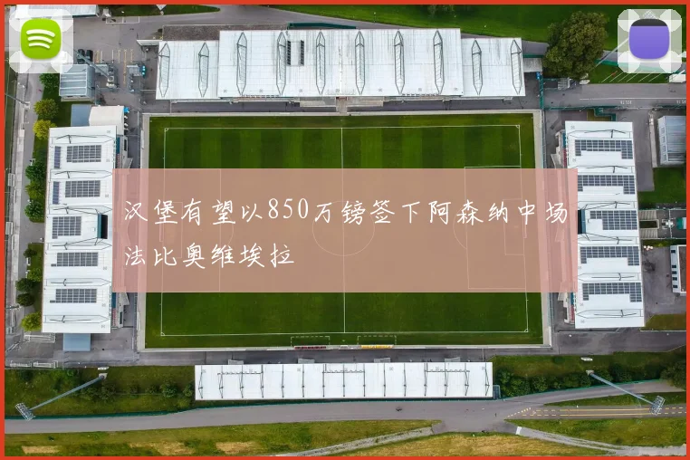 汉堡有望以850万镑签下阿森纳中场法比奥维埃拉