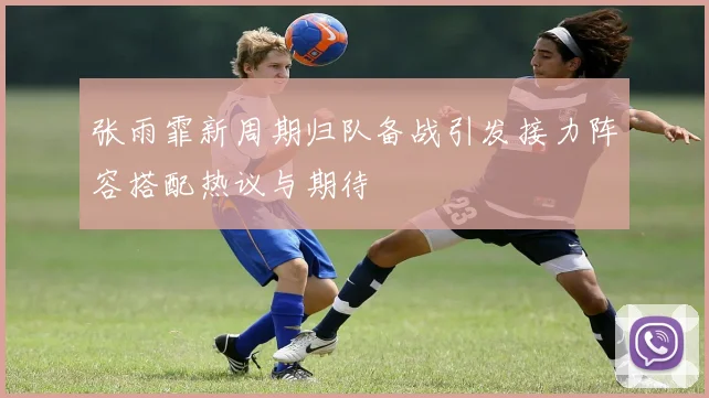 张雨霏新周期归队备战引发接力阵容搭配热议与期待